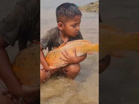 Amazing Boy Catching Fish By Hand #fishing