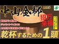 中山金杯 2024【穴馬/予想】金杯で乾杯！夢は「リベンジに燃えるあの☆馬」に託した！