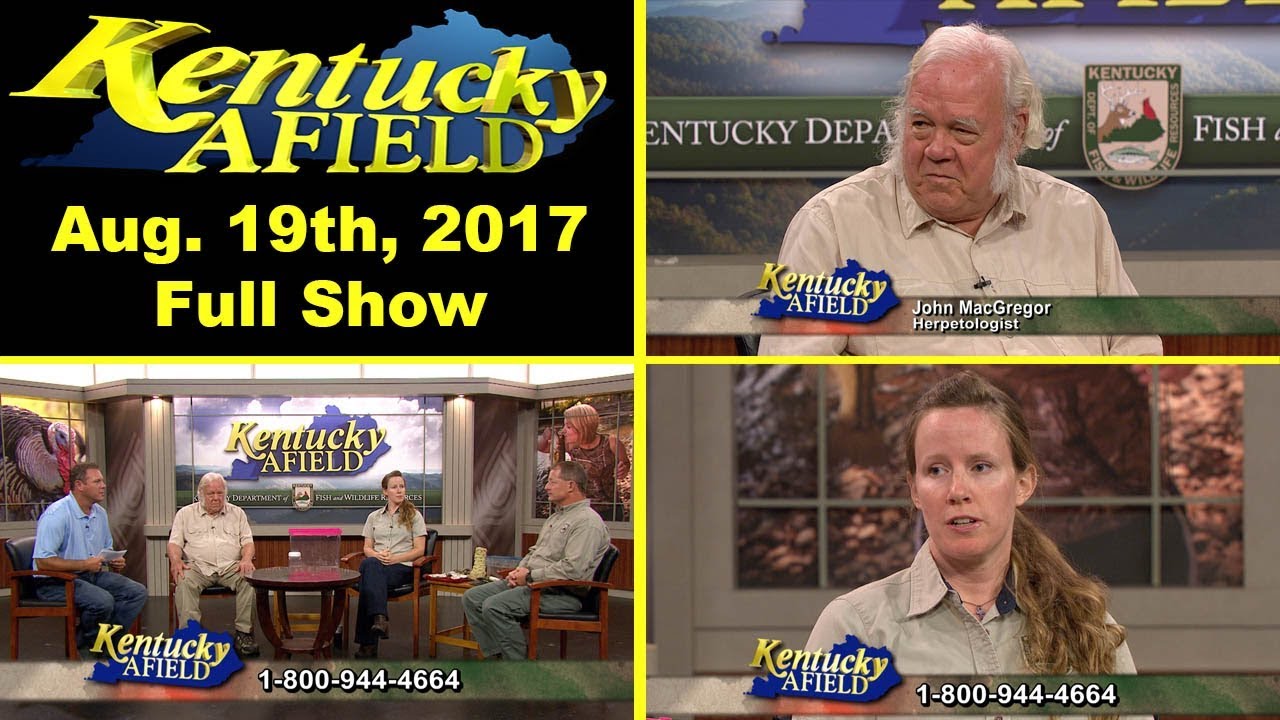 radioactive August 19th, 2017 - Non Game Call in Show