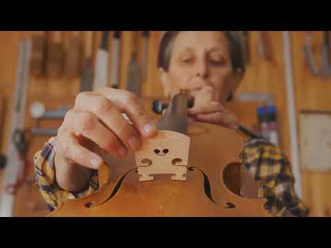 Strings of Time: A Symphony of History - History of String Instruments | MusicAestheticWorld