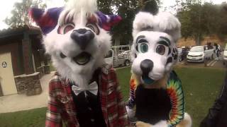 SoCal Furries Year in Review 2015