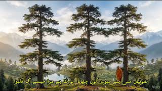 Shajar-e-Pakistan Song | Pakistan's Tree Song | Urdu Poem | Deodar Cedar Tree | شجرِ پاکستان |دیودار