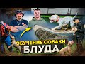 ОБЗОР НА СОБАКУ ВИКТОРА БЛУДА