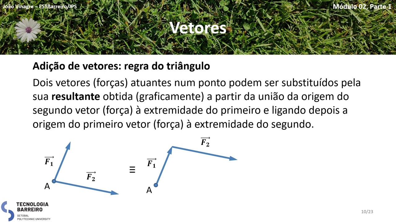 Mecânica - Módulo 02/01 – Estática