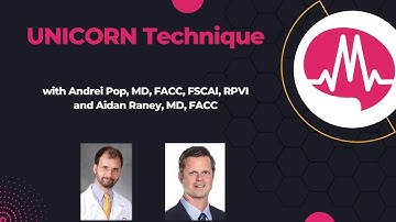 UNICORN Technique- an in-depth guide with case examples on the leaflet modification procedure