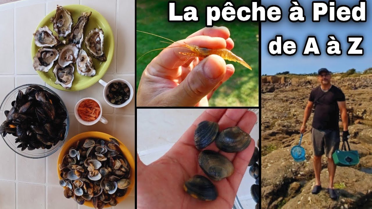 Pêche à Pieds - Se Faire un Plateau de Fruits de Mer Gratuit !! 