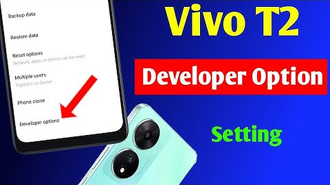 Vivo t2 developer option setting | how to enable developer option in Vivo T2 | developer option
