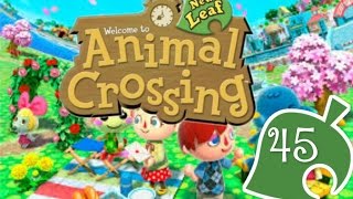 Animal Crossing New Leaf Gameplay~ Episode 45