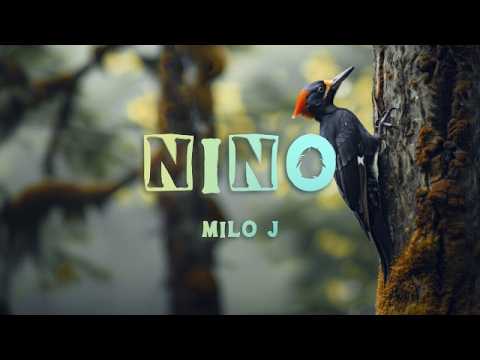 Milo J - Niño (Letra)