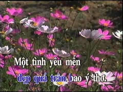 ไซ่ง่อนแดบหลำ ต้นฉบับชาย