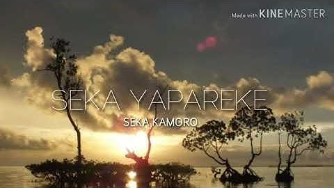 SEKA KAMORO _YAPAREKE_(LD 16 AIRU RAP PH2T)