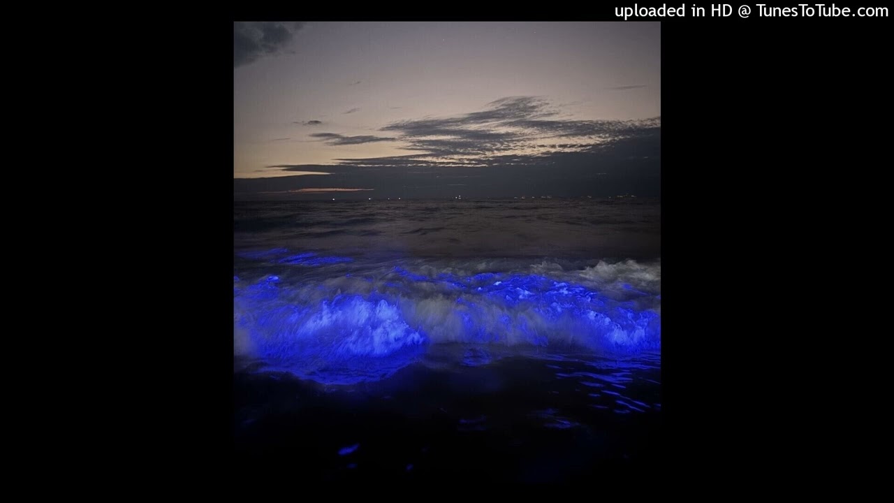 (FREE) New Wave Type Beat 