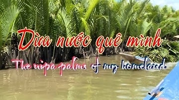 KÝ ỨC MIỀN QUÊ | DỪA NƯỚC QUÊ MÌNH | THKG