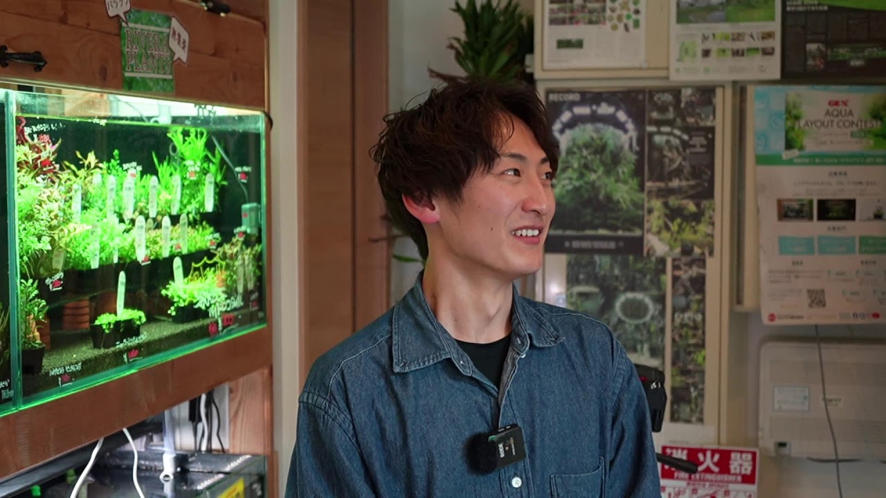 リミテッドショップマン淡水編】藤井によるエキノドルス回！ - YouTube