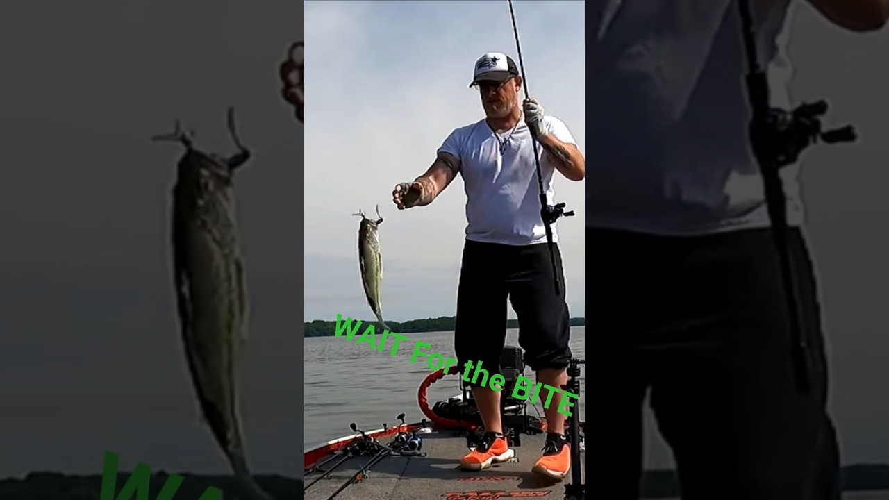 LIVESCOPE.. Almost set the HOOK too SOON!! 