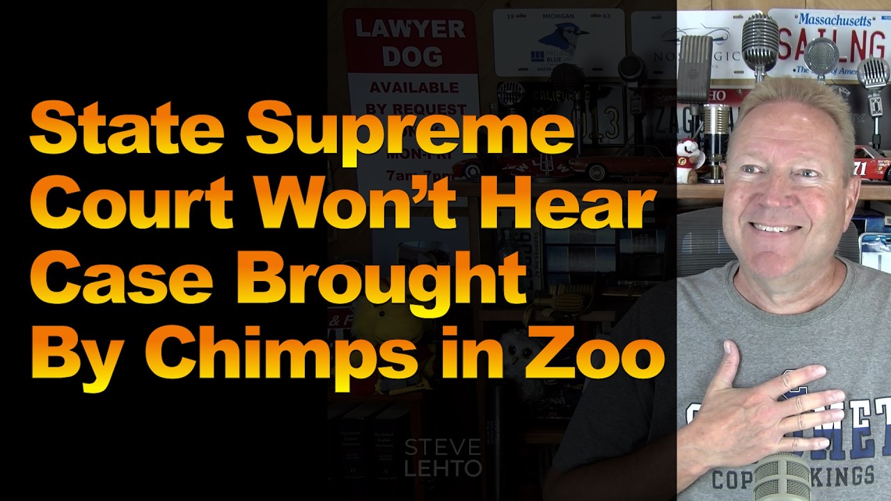 State Supreme Court Won’t Hear Case Brought by Chimps in Zoo