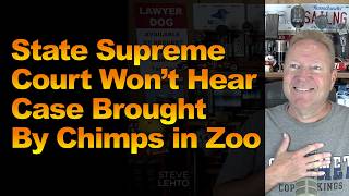 State Supreme Court Won’t Hear Case Brought by Chimps in Zoo