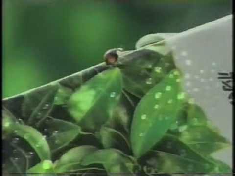 統一純喫茶