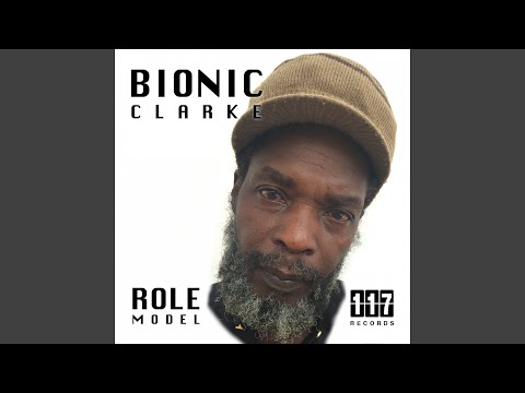 Role Model Dub (feat. Dubvisionist)