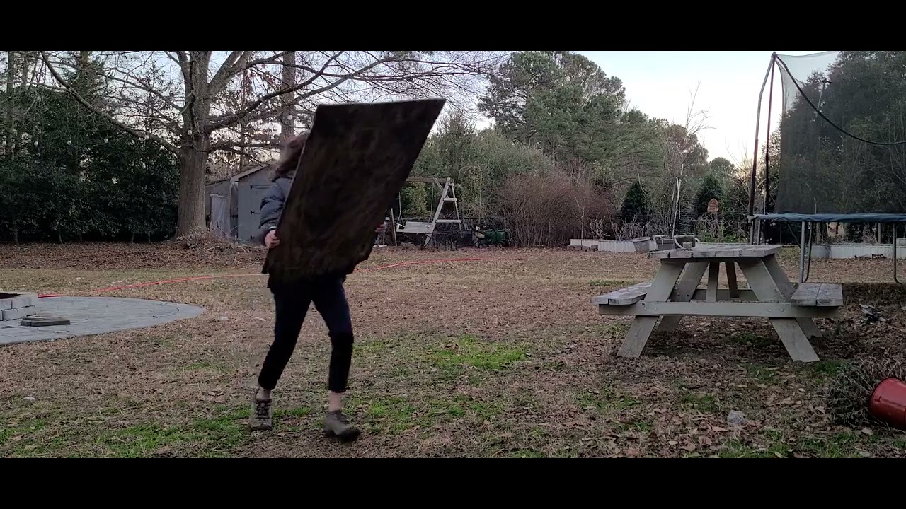 Chicken Flying in all sorts of ways