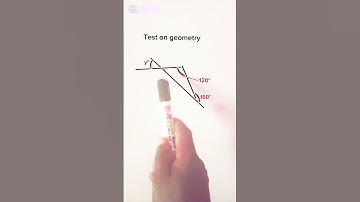 Calculate the value of angle y.