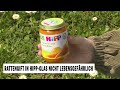 Gutachten: Rattengift in Hipp-Glas nicht lebensgefährlich