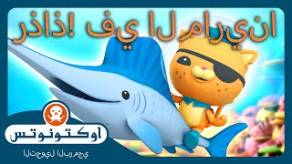 أوكتونوتس | 💦 رذاذ! 🐠 في المارينا 🤿 | حلقات مجمعة