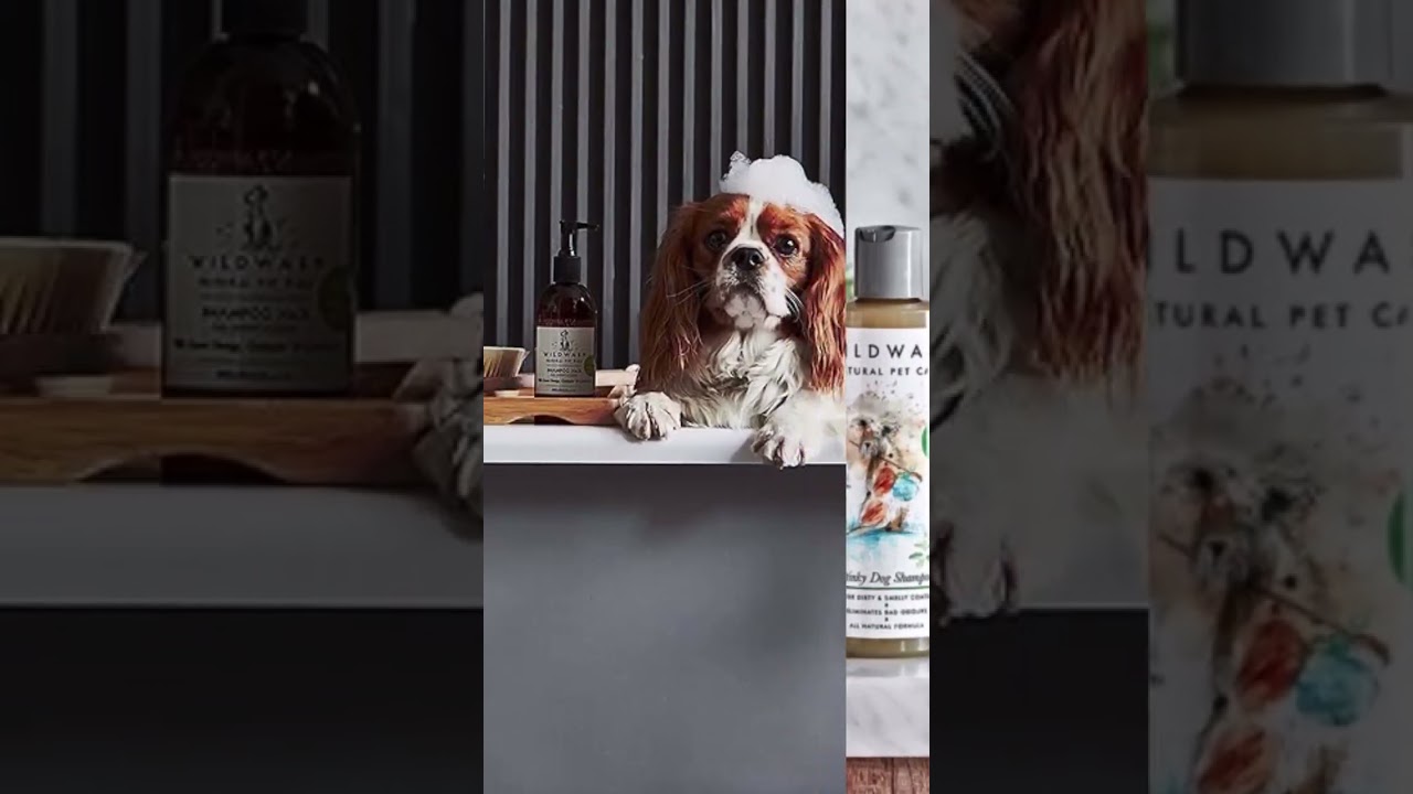 Dog Grooming Essentials Online. Shop Online From KanineIndia