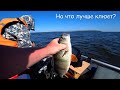 Рыбалка на спиннинг. ЛЮТЫЙ ЖОР ОКУНЯ! Реакция рыбы на кучу приманок🐟