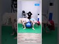 Fitness yoga 🏋️#yoga #fitnessmotivation #fitnessmodel yogafyp#yogaflow#yoga#beauty#yogains #Sexsy