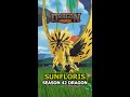 SUNFLOWER DRAGON SUNFLORIS 🌻 Dragon Adventures #shorts