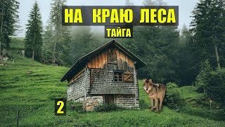 ВОЛК ПРИХОДИТ к СОБАКЕ ВОЛКОДАВ СЛУЧАЙ в ТАЙГЕ СУДЬБА ДОМ в ЛЕСУ ЖИВОТНЫЕ ИСТОРИИ из ЖИЗНИ СЕРИАЛ 2