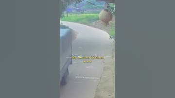 May vẫn còn cơ hội sửa sai 😂 #giaothong #antoangiaothong #laixeantoan #mayman #tretrau