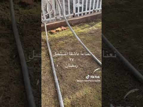 نعناعه عاشقة المستحيل