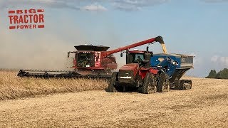 Case IH 9240 Axial-Flow Combines Harvesting Soybeans