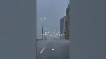 ما كذب الفؤاد ما رأى#قران_كريم #قران #سوره_النجم#يوسف_الصقير
