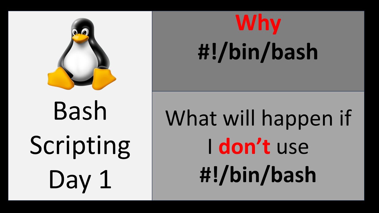 Day 1 🚀 Bash Script Shebang Explained! | With & Without Shebang ...