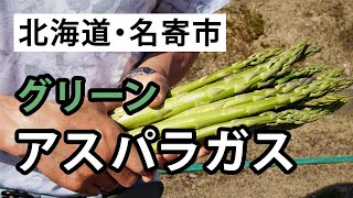 北海道・名寄市アスパラガスの収穫から出荷までを取材してきました