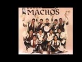 ELLA  BANDA MACHOS