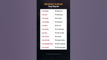 MẪU CÂU BÀY TỎ CẢM XÚC Trong Tiếng Anh #shorts