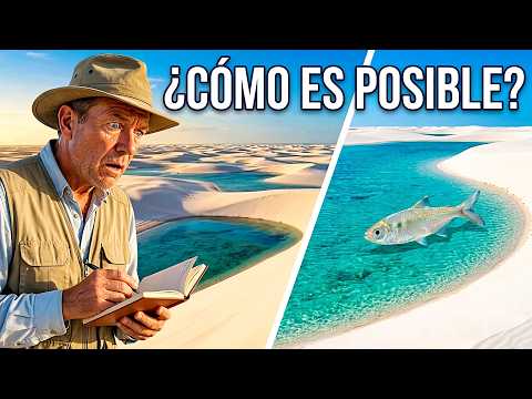 ¿Por Qué Hay Peces en Este Desierto? | Lençóis Maranhenses thumbnail
