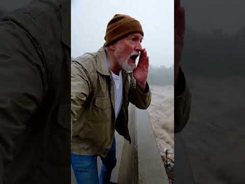 Golden Retriever Rescued From Flood Good Man