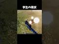 チャッピーに頼るのが現状...