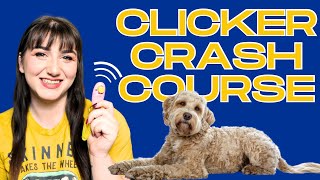 Professional Dog Trainer Explains Clicker Training | Clicker Crash Course by The Tattooed Dog Trainer 313 views 2 months ago 13 minutes, 10 seconds