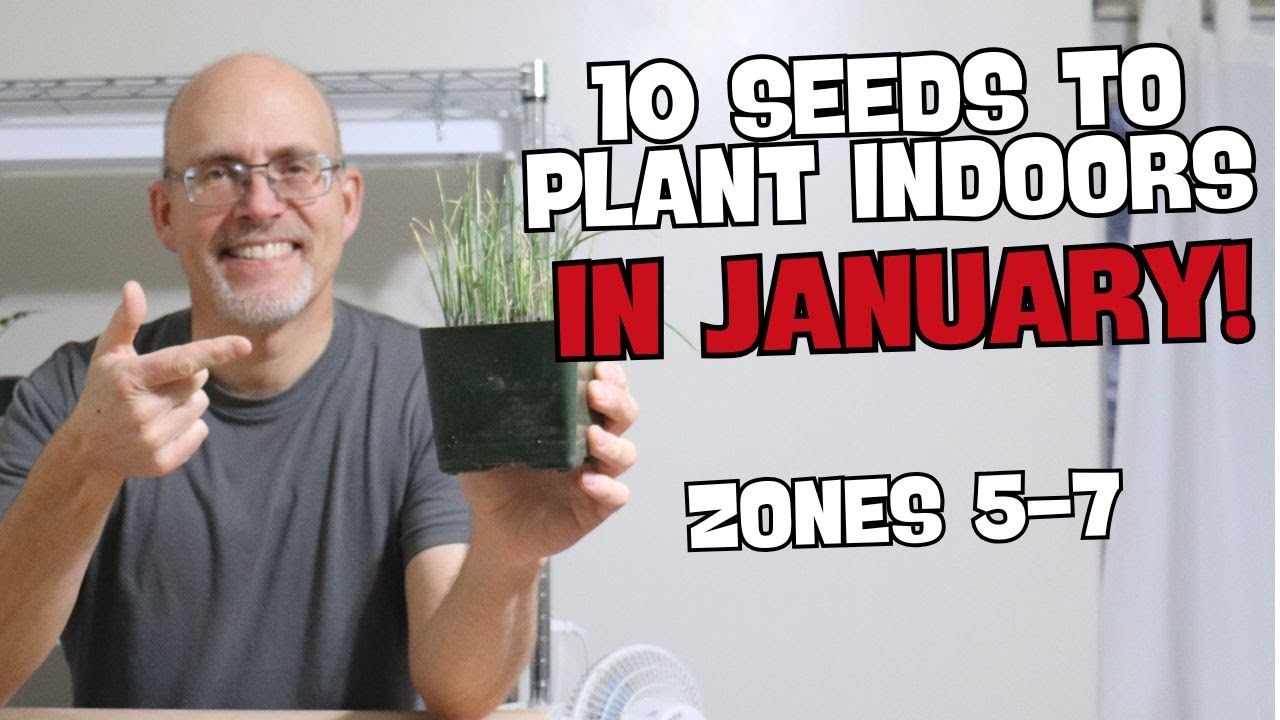 10 семян, которые можно посадить в помещении в январе