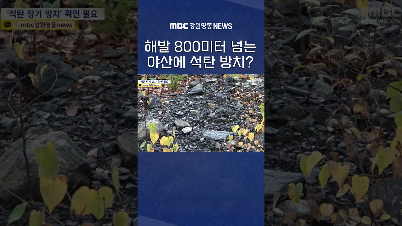 해발 800미터 넘는 야산에 석탄 방치? #mbc #mbc강원영동 #mbc뉴스 #mbc뉴스데스크 #mbcnews