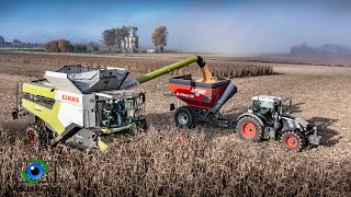 New Claas Lexion 8900 Moisson De Maïs Dans Le Brouillard X2 Transbordeurs