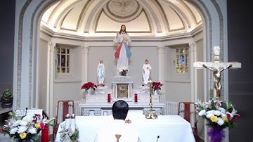 Ngày 08-12-2022. Thú năm Lễ Đức Mẹ Vô Nhiễm Nguyên Tội, lễ trọng. Thánh lễ 8:30