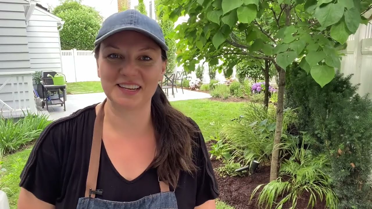 🌱 Small Garden Update - Shade Garden Planting 🌱