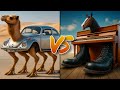 Tracotucotulu Delapeladustuz VS Ecco Cavallo Virtuoso Tracotucotulu Delapeladustuz VS Ecco Cavallo Virtuoso